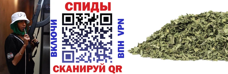 закладка  Шатура  hydra маркетплейс  Бутират вода 