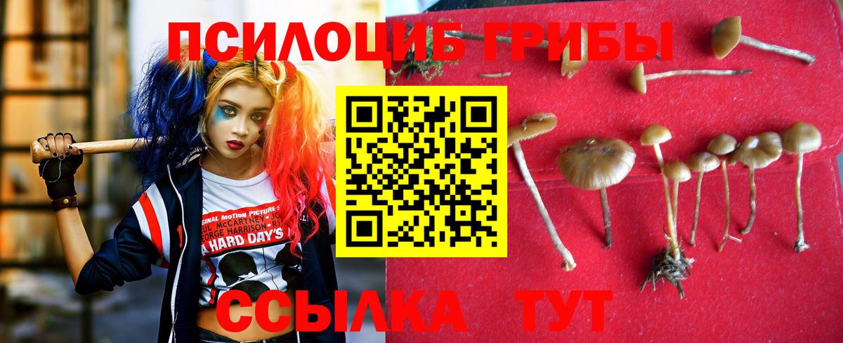 Шатура  Псилоцибиновые грибы GOLDEN TEACHER  Галлюциногенные грибы мухоморы  продажа наркотиков  Вход с VPN 
